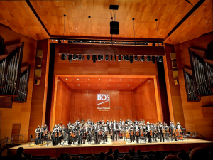 Concert ‘An evening with John Williams’ with the BOS - BILBAO - Summary
