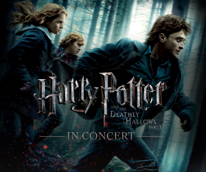 Hollywood Bowl 2022 - Harry Potter and the Deathly Hallows Part 1 In Concert
